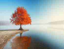 网‍站‌排​名‍规‌则﻿